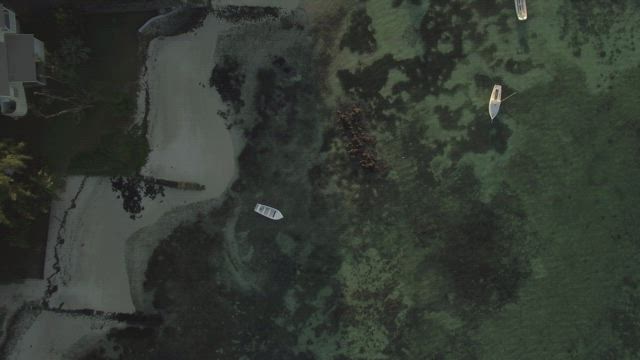 Small boats over coral and seaweed.