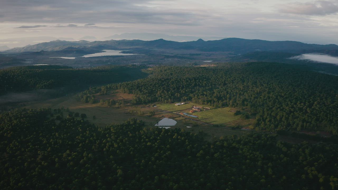 Aerial view of a green forest with mountains and lakes - Free Stock Video