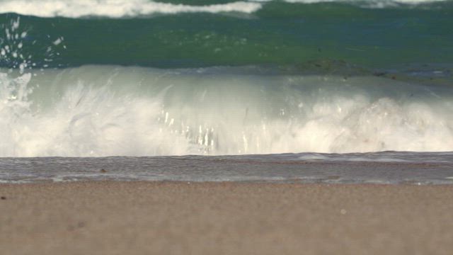 Waves and seaweed washing ashore.