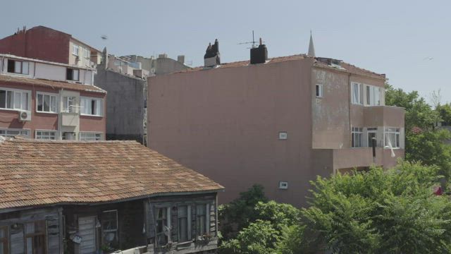 Small houses by the waterfront.