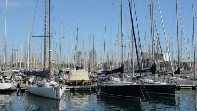 Sailboats in a harbor.