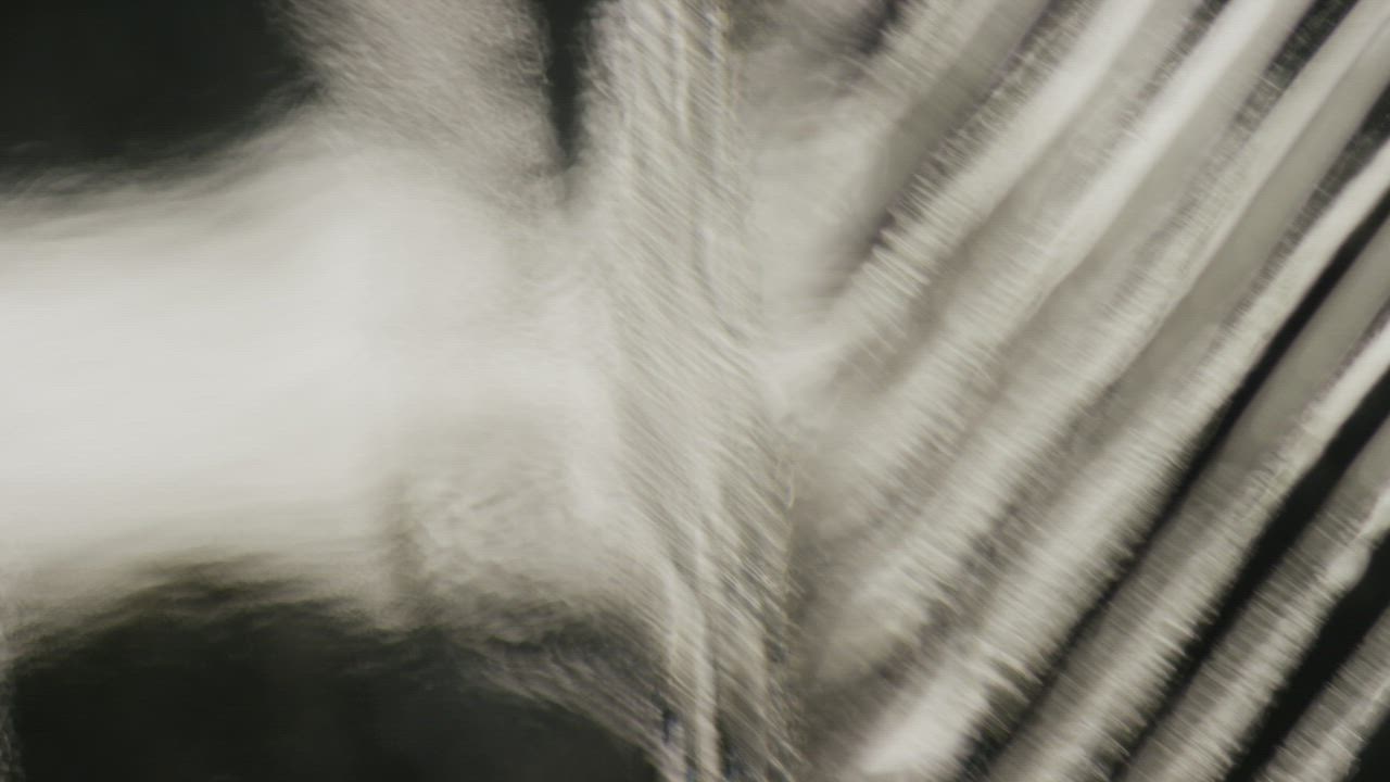 Pattern shapes in a fluid motion - Free Stock Video