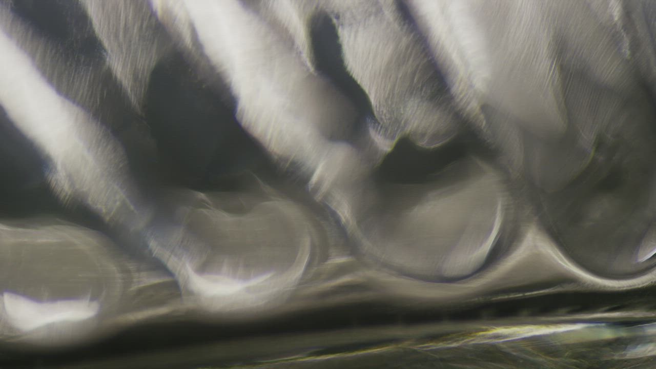 Diffused light shapes in motion - Free Stock Video