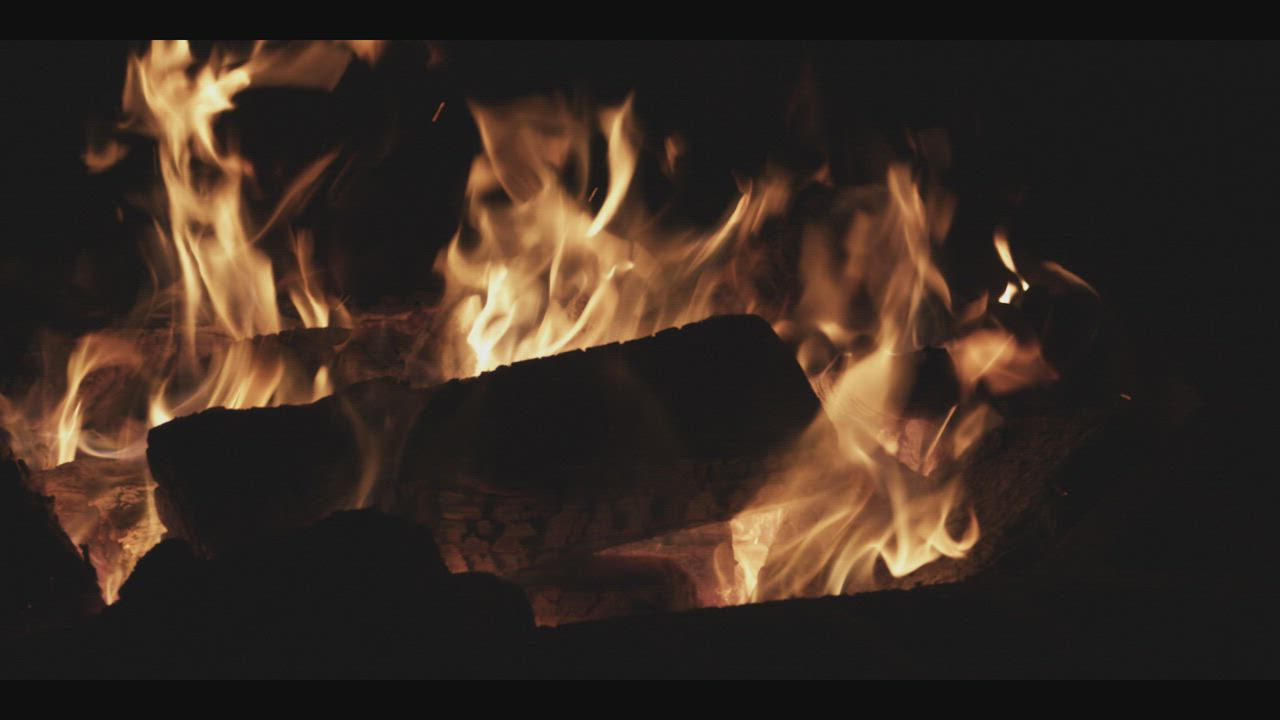 Logs burning in the campfire - Free Stock Video