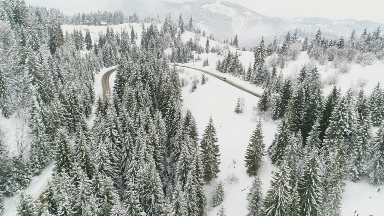 Road in a snowy forest with pine trees - Free Stock Video