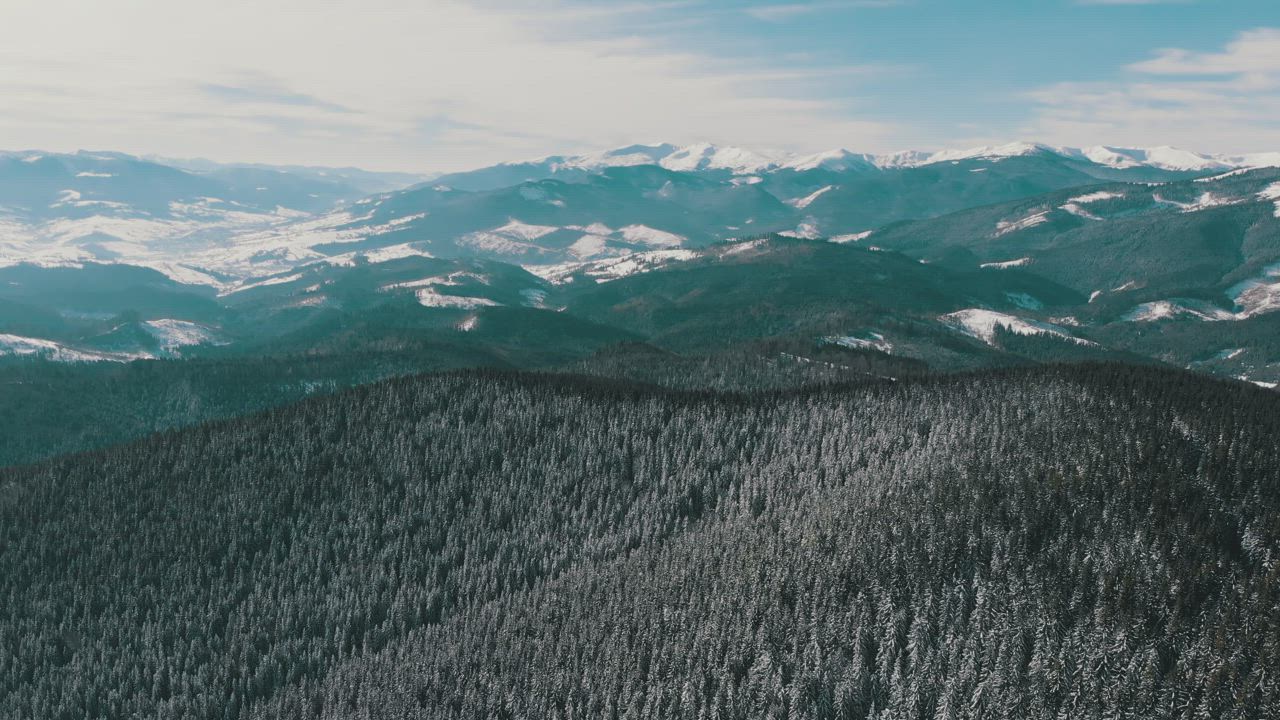 Flying over a snowy forest and mountains landscape - Free Stock Video