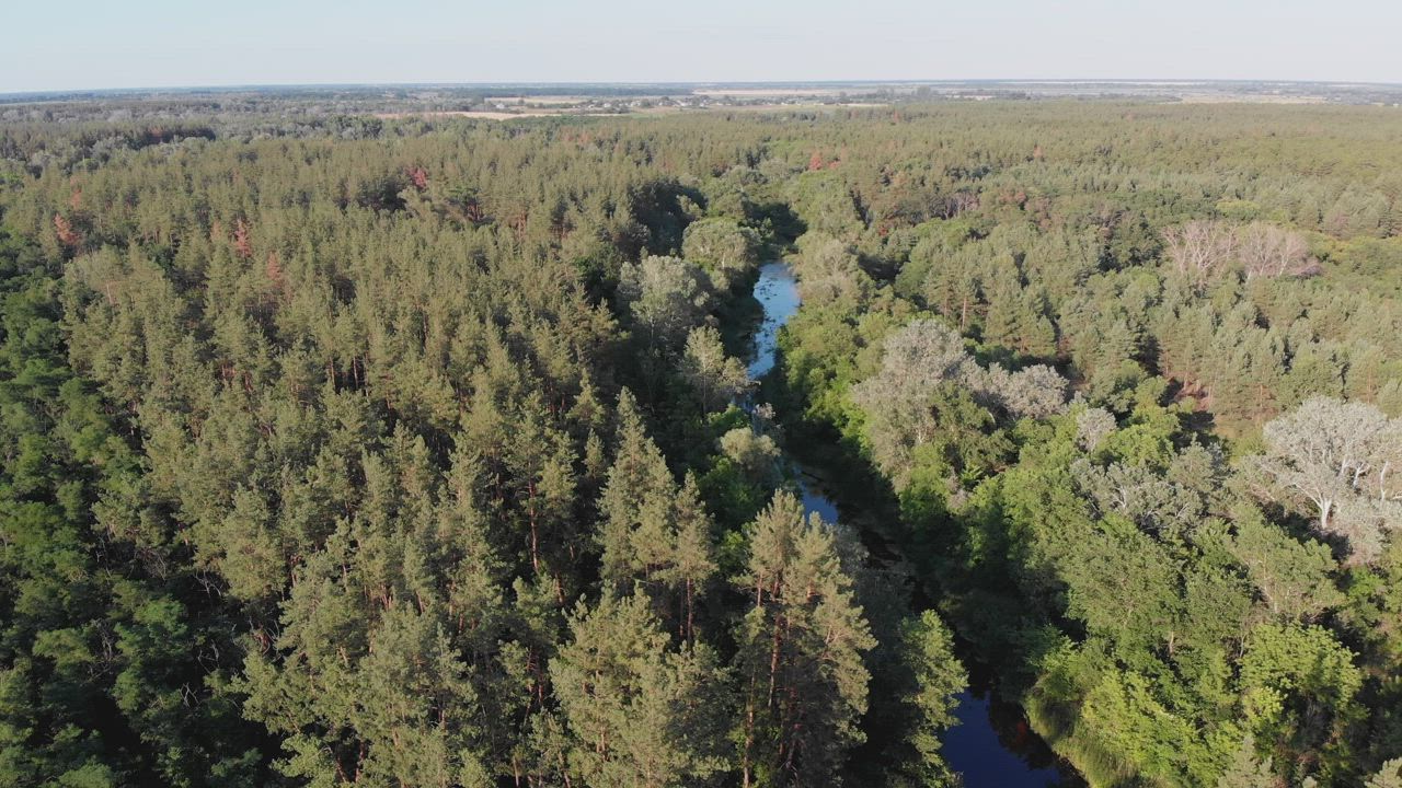 Flying over a river running through a forest - Free Stock Video