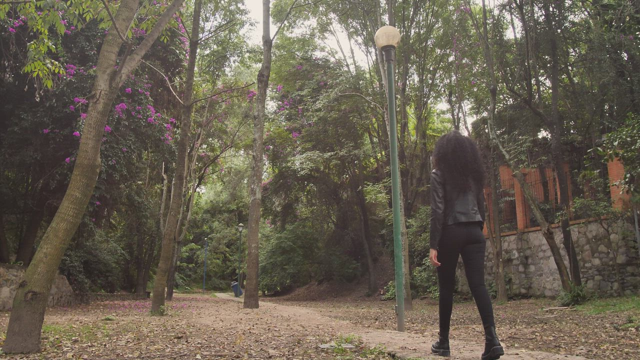 Woman walking through a park with dry trees and leaves - Free Stock Video