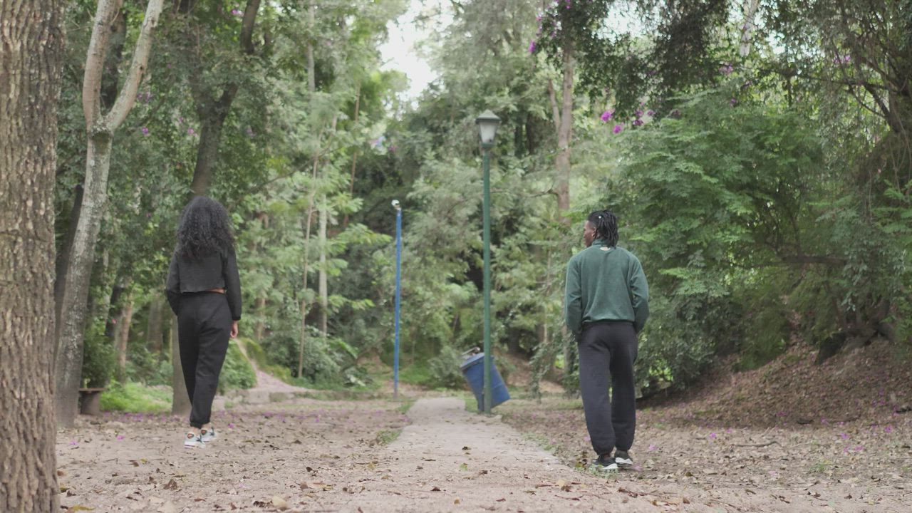 Couple of man and woman walking apart through a forest - Free Stock Video