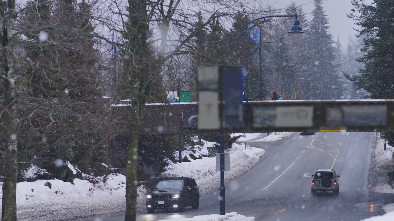 Snowing around a pedestrian bridge in Canada - Free Stock Video