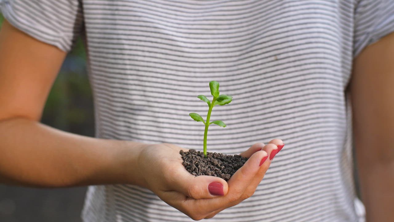 Woman holding a small plant in her hands - Free Stock Video