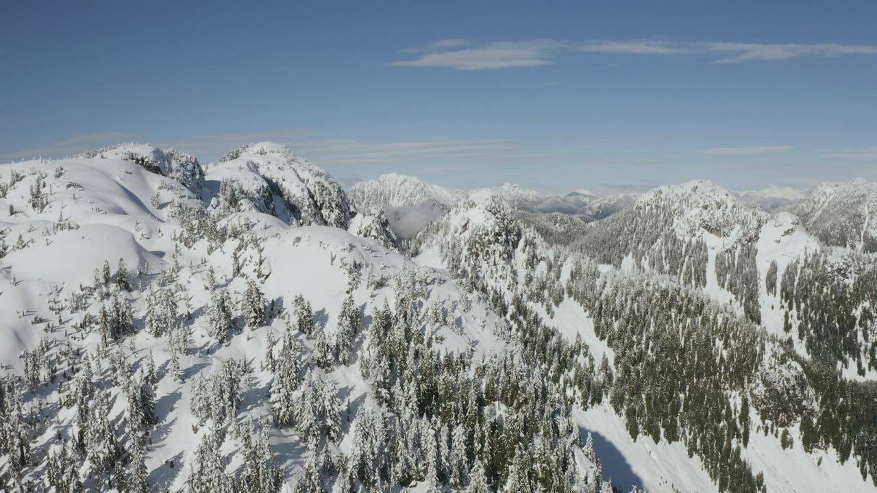 Landscape of snow-covered mountain and pines - Free Stock Video