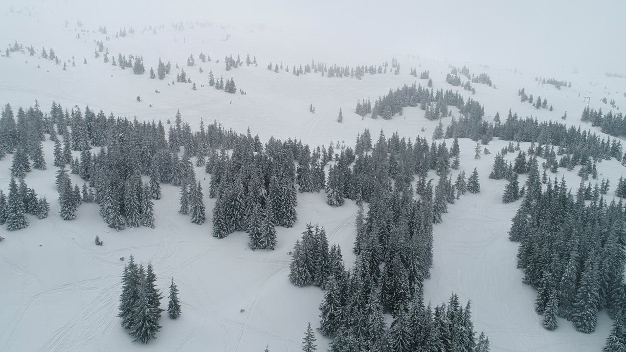 Snowy mountain with frozen pine trees - Free Stock Video