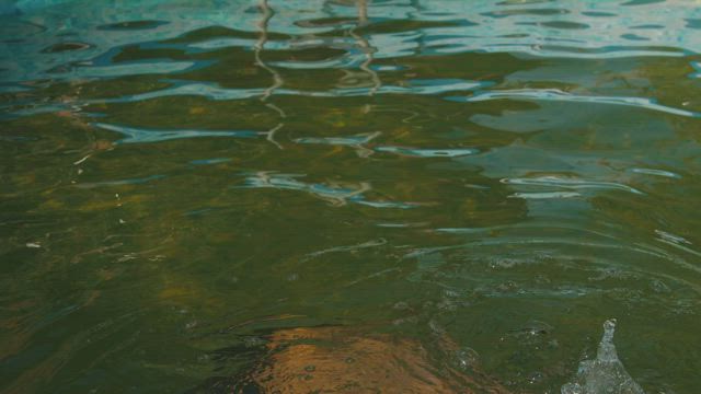 Man emerging from the water of a swimming pool.