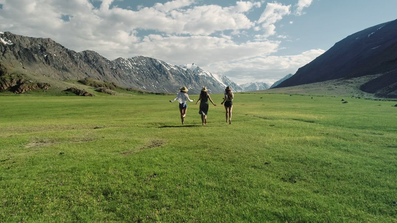 Happy friends running in nature - Free Stock Video