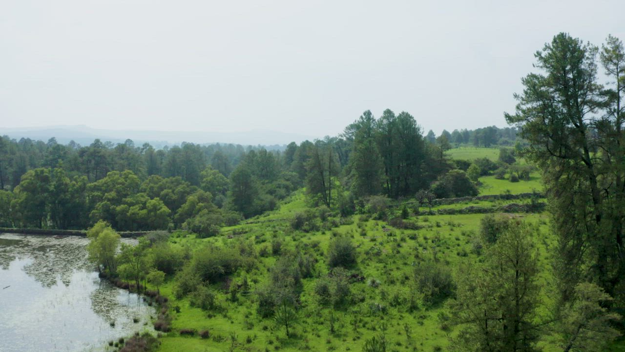 Natural landscape in an aerial view around a forest - Free Stock Video