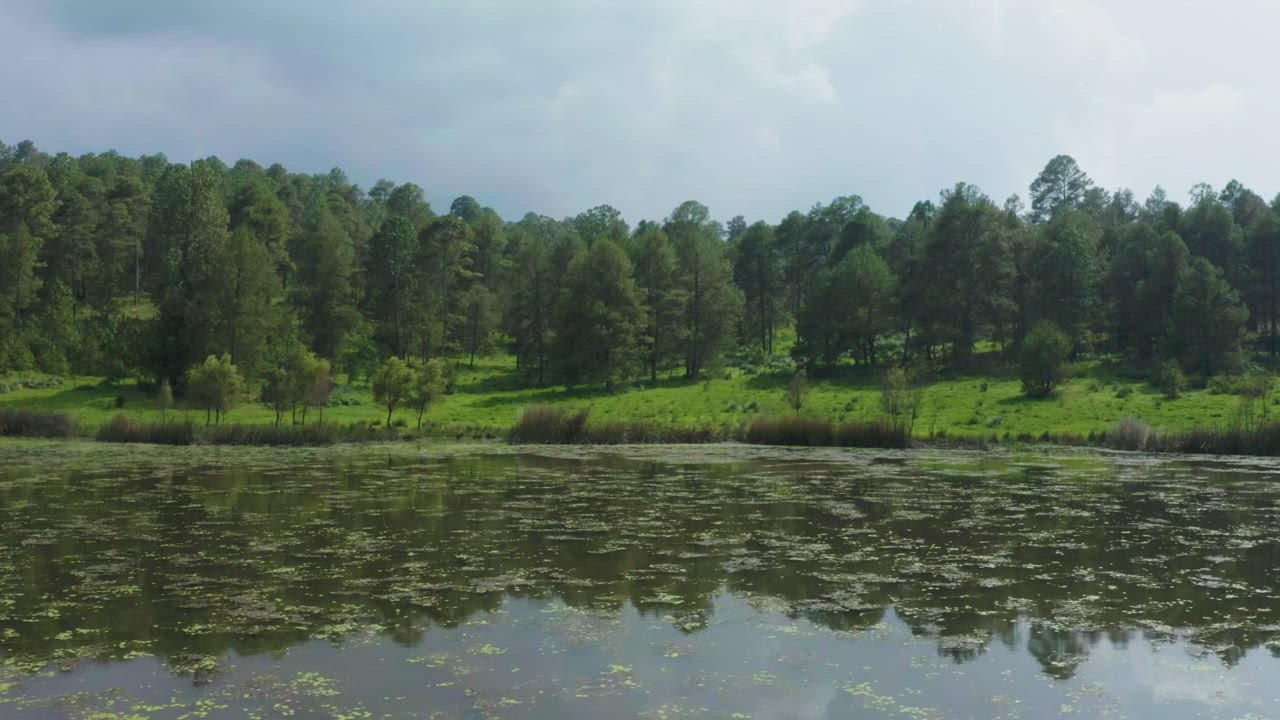 Aerial tour of a lake in the middle of a large forest - Free Stock Video