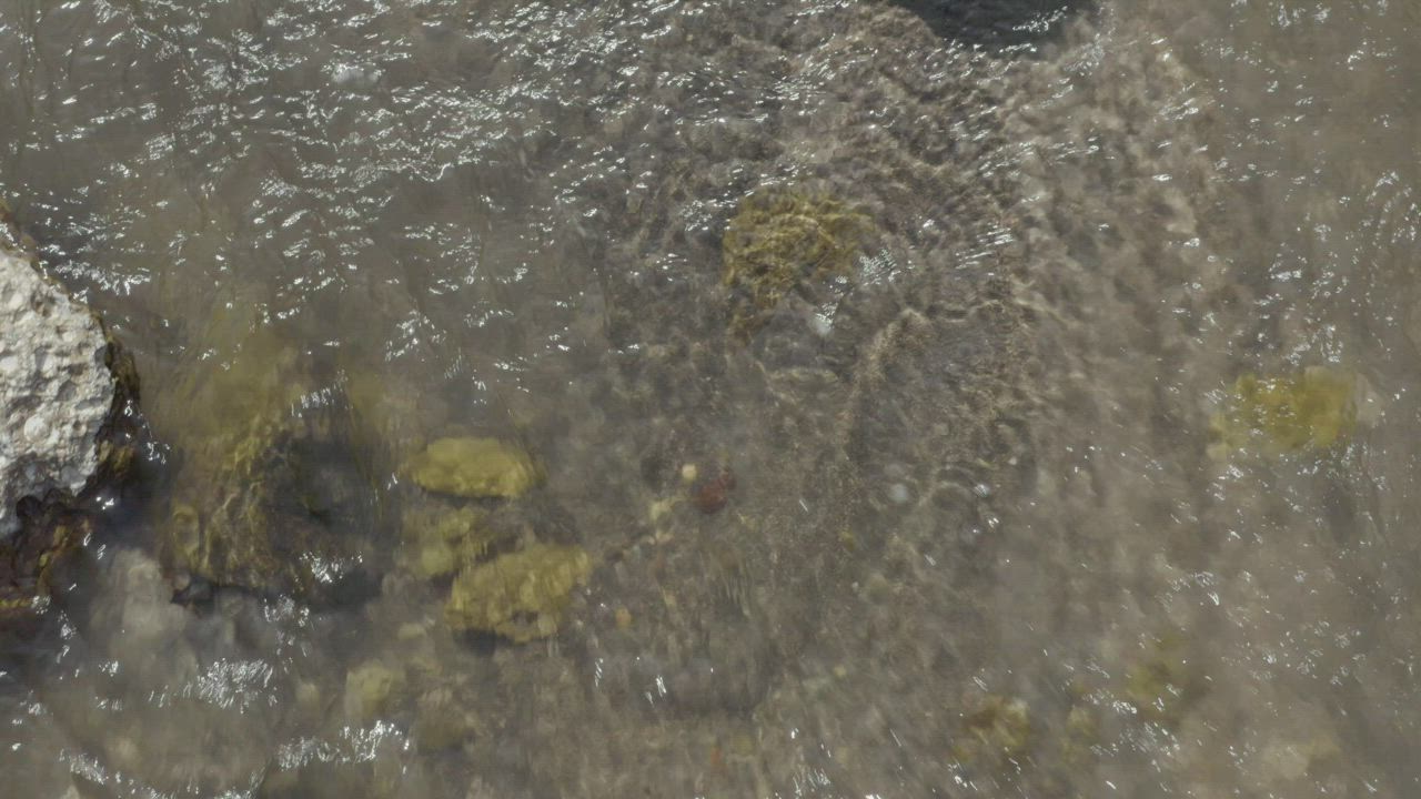 Close shot of the water of a flowing river - Free Stock Video