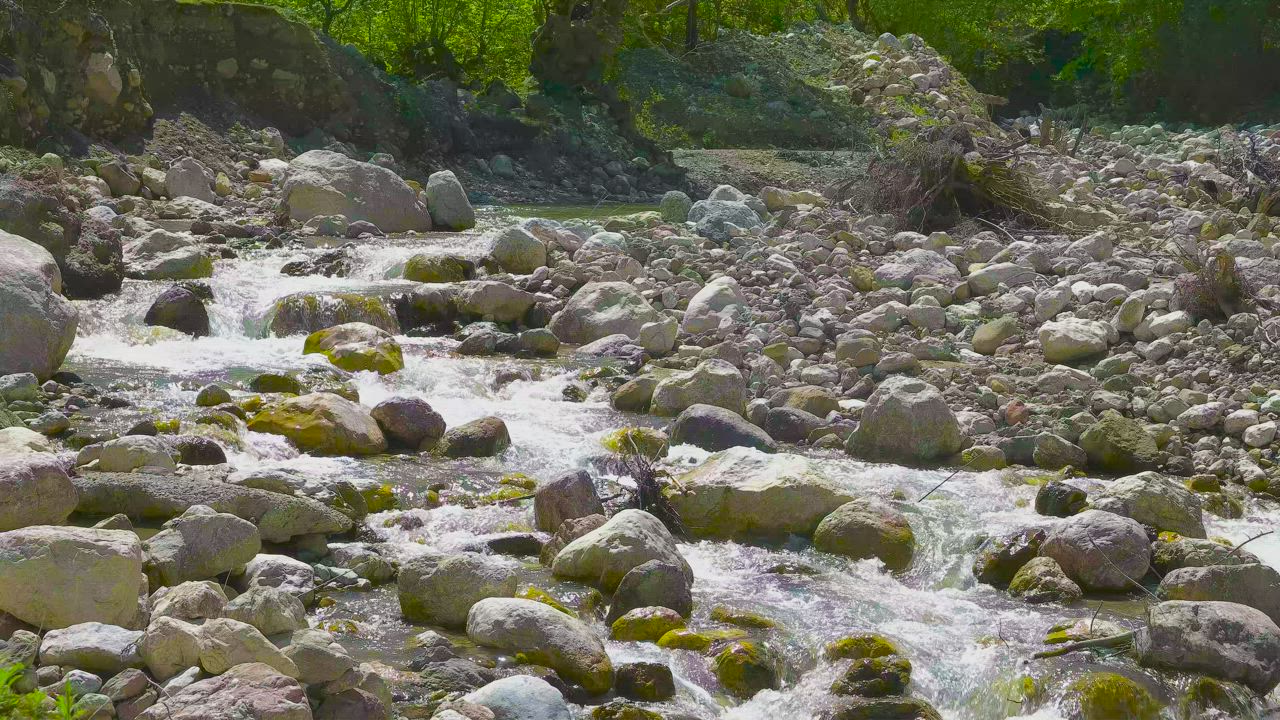 Flowing water between rocks in a stream - Free Stock Video