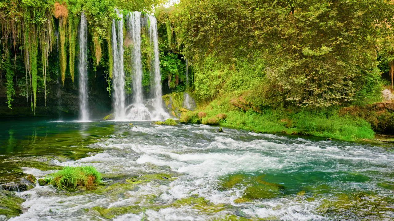 Waterfall with greenery and moss - Free Stock Video