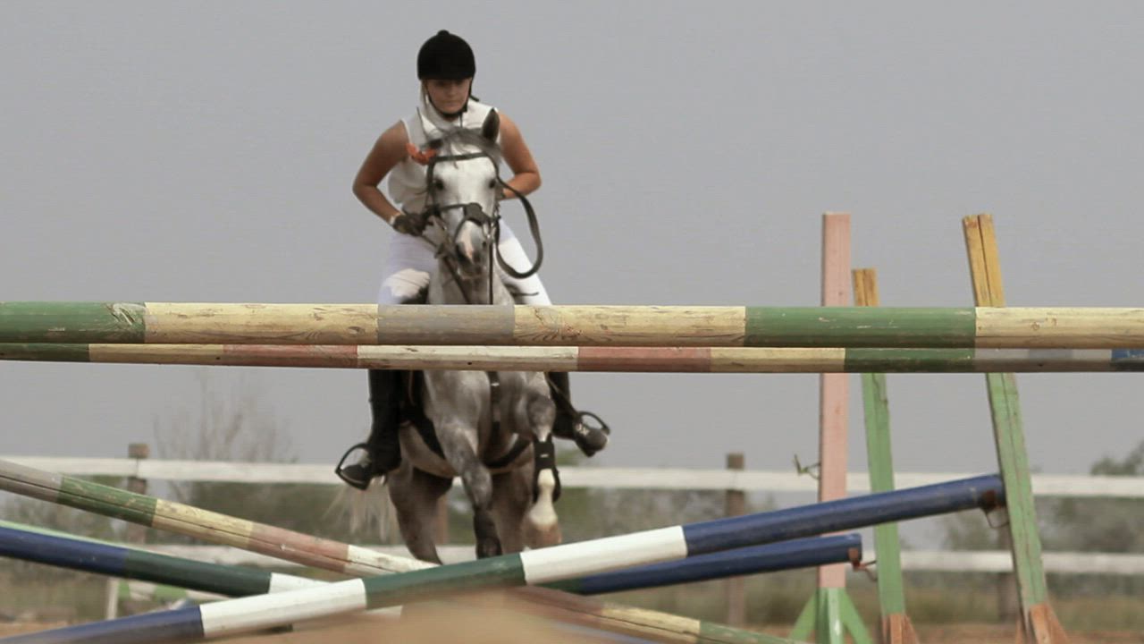 Equestrian jumping a horse over obstacles - Free Stock Video