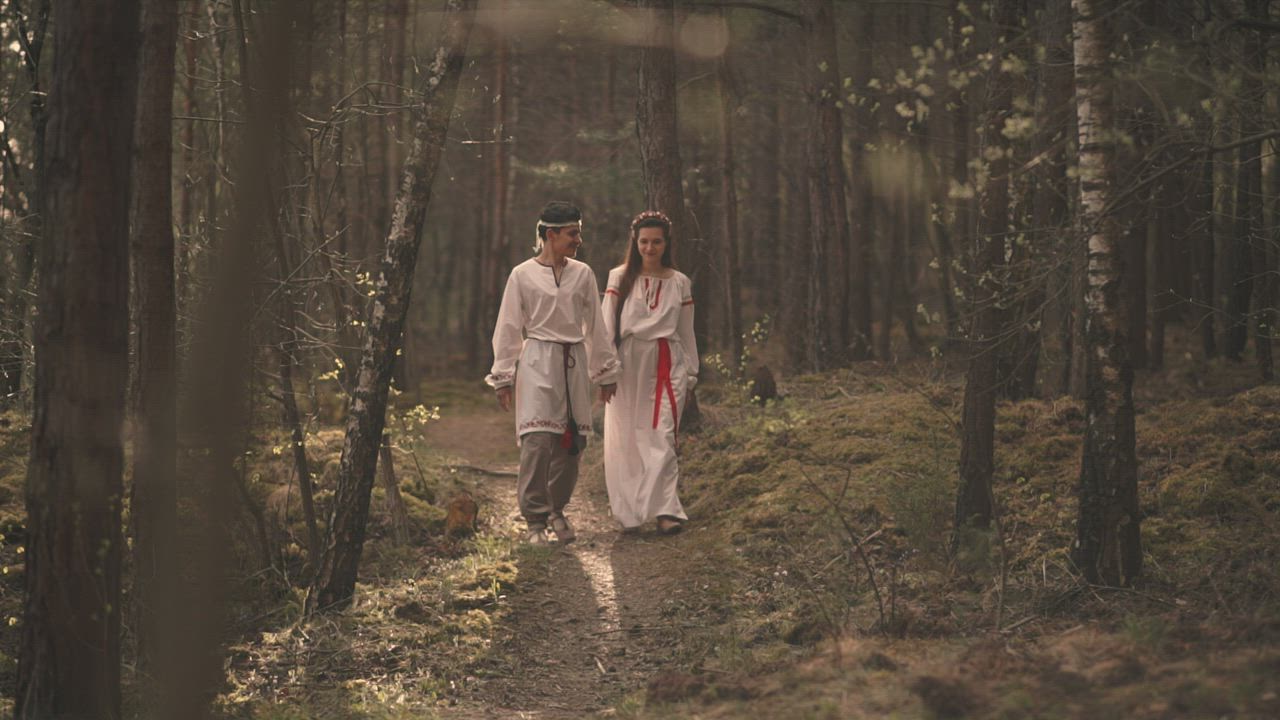 Couple walks thru the forest - Free Stock Video