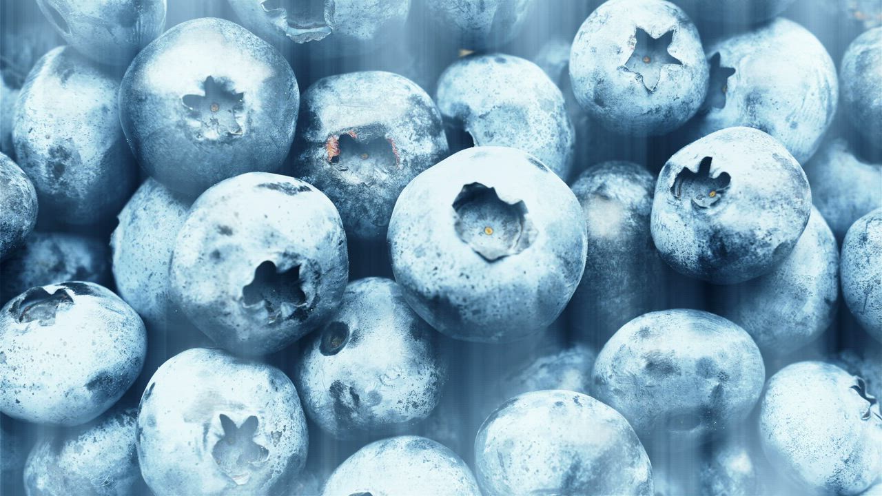 Panning shot of a large pile of fresh blueberries - Free Stock Video
