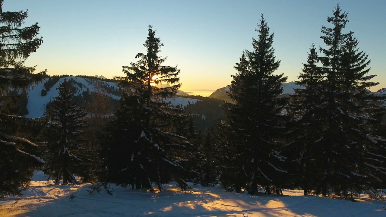 Impressive view of sunset through trees and mountains - Free Stock Video