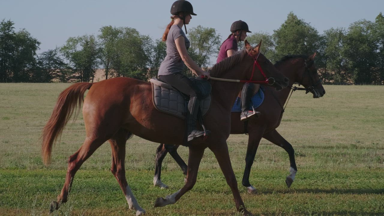 Two young riders galloping on their horses - Free Stock Video