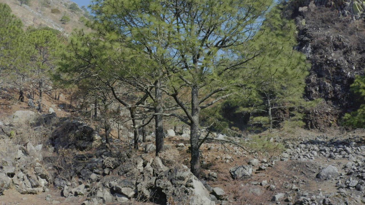 Arid environment with rocky mountains and vegetation - Free Stock Video