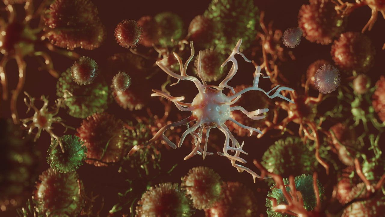 Covid-19 floating microscopic virus animation - Free Stock Video