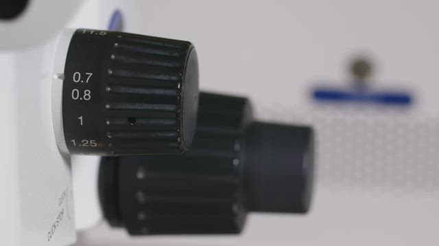 Adjusting the zoom on a microscope.
