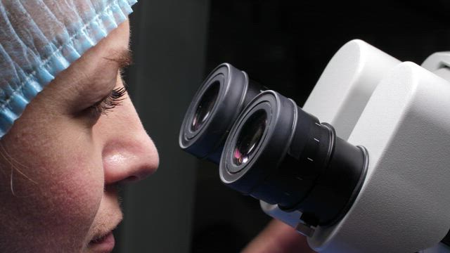 Researcher using her microscope.