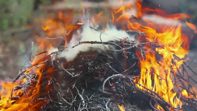 Fire consuming dry branches .