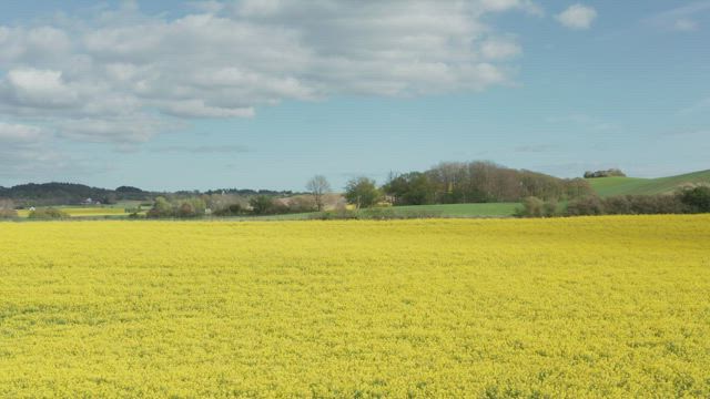 Sideways shot of farmland.