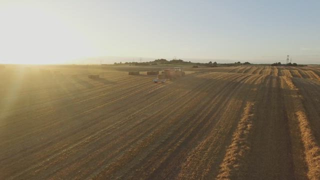 Sunset while a tractor works.