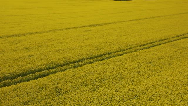 Rural fields in the countryside.