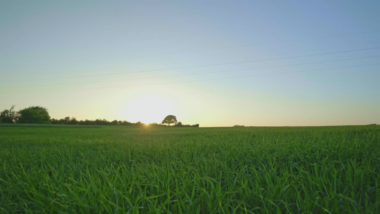 Sunlight in the countryside - Free Stock Video