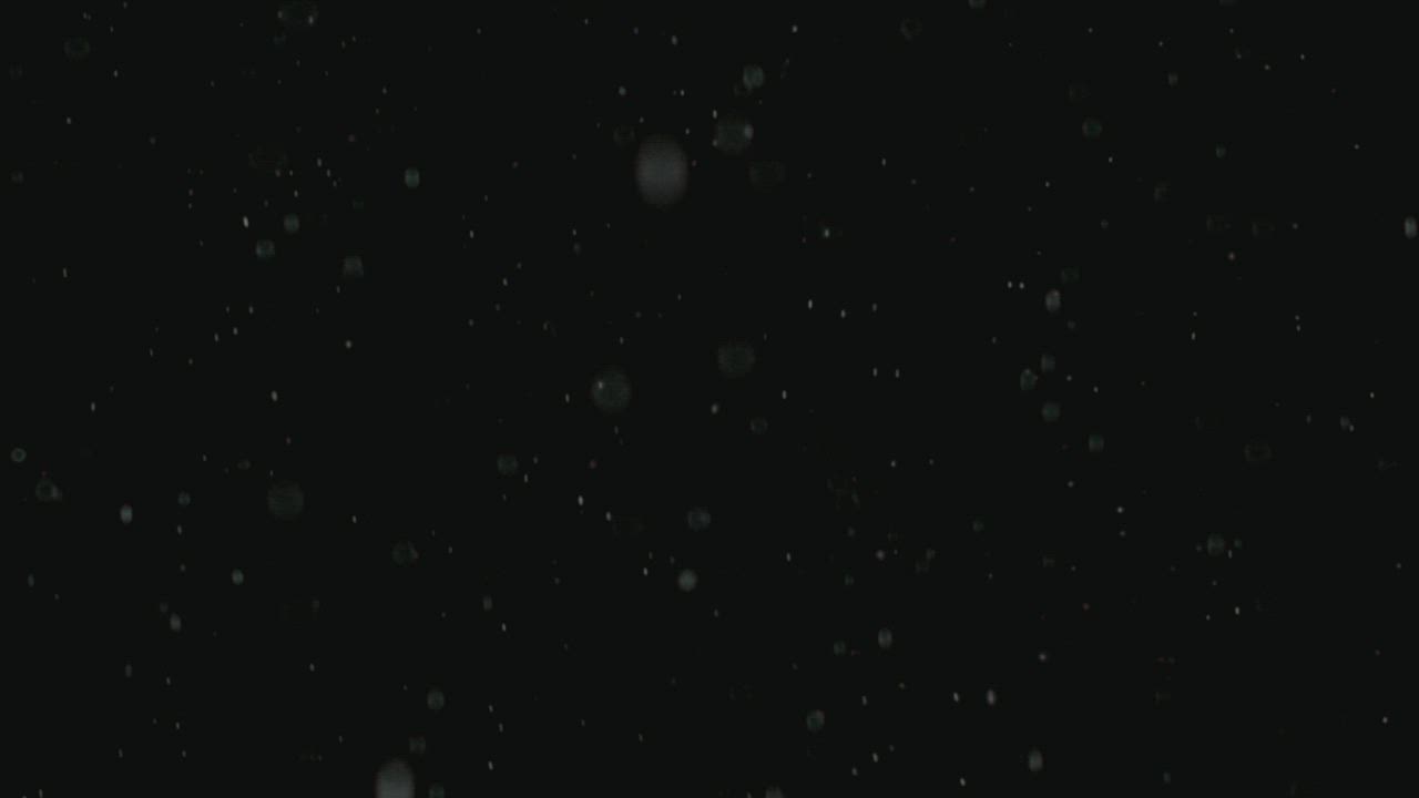 Snow falling softly against a black background - Free Stock Video