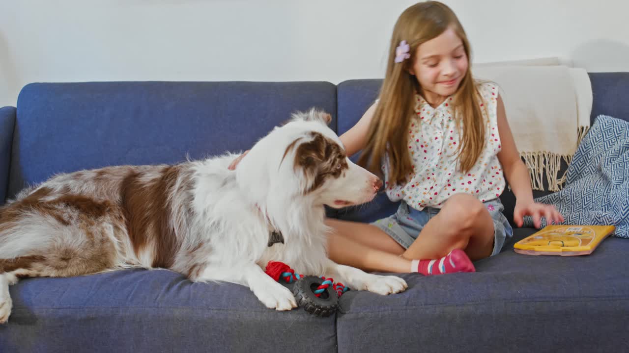 Girl and Dog Playing with Toys.